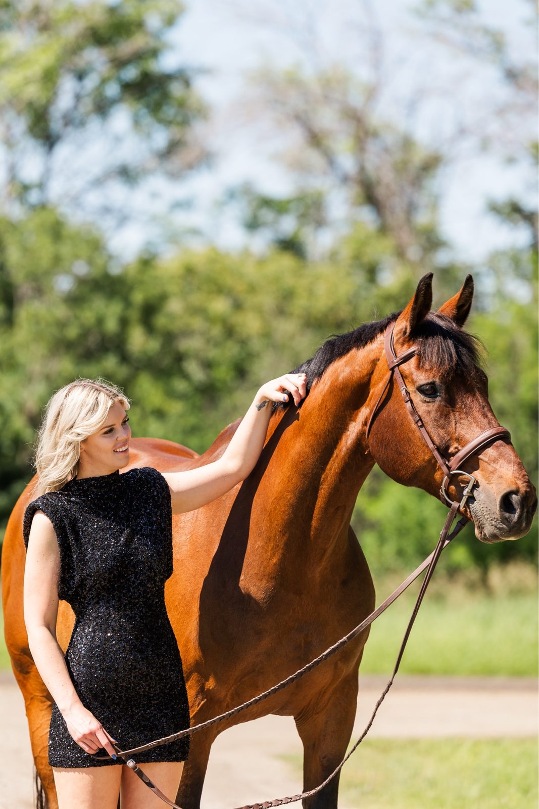 Founder with a sport horse at golden hour