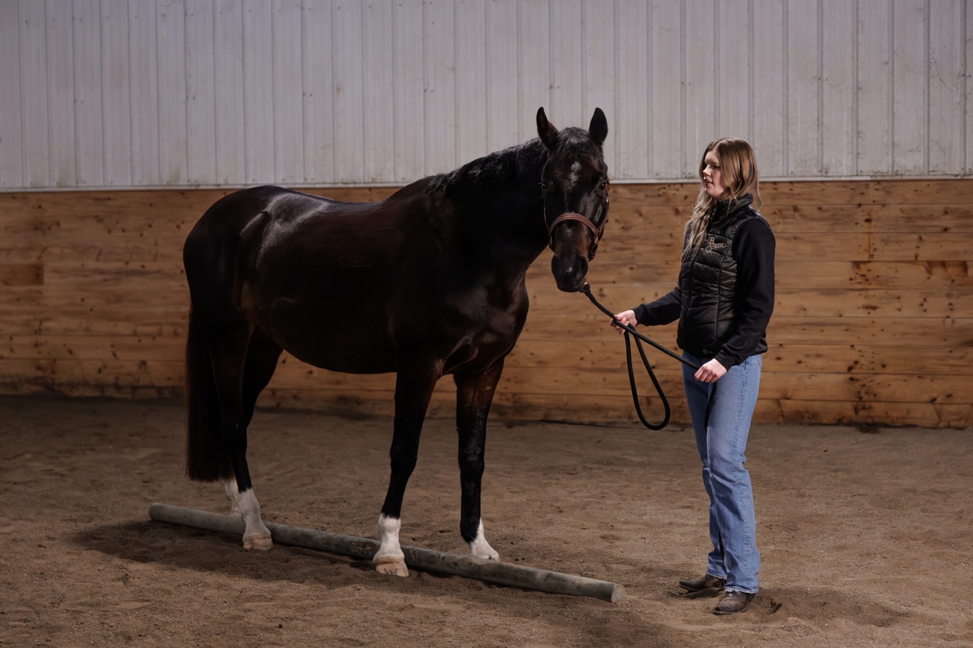 A young sport horse and handler working over ground poles in an indoor training arena at MKM Sport Horses