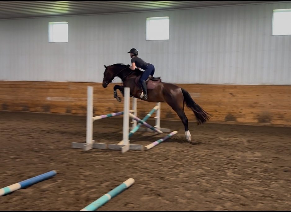Rider and sport horse clearing a jump during training