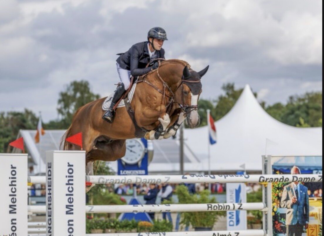 Ermitage Kalone competing over a grand prix fence
