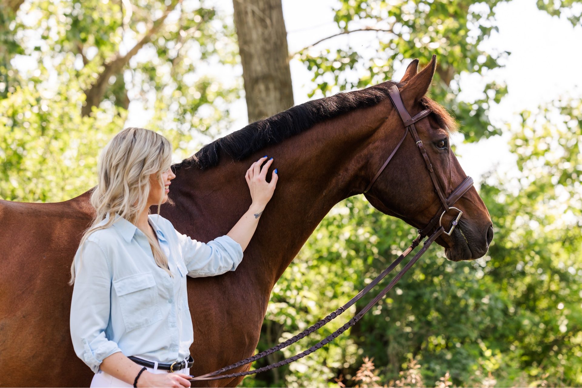 Handler bonding with a bay sport horse outdoors